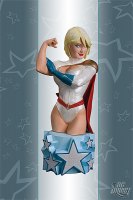 Women of DC Universe: Power Girl Bust