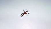 Supergirl-First-Look-245.png